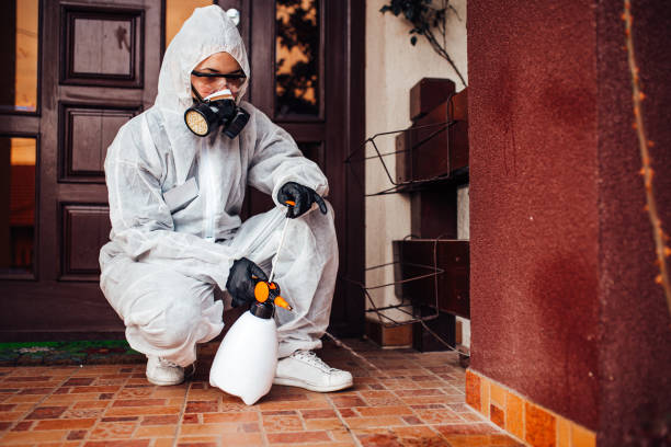 Reliable Wasp Removal contractor in Enumclaw, WA by Show Me Pest Control